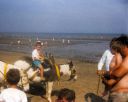 SJ001078.jpg