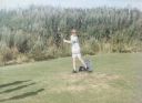 Filename=PL000184.jpg
Filesize=444KiB
Dimensions=956x700
Date added=Apr 01, 2012 PL000184.jpg