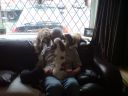 DSC00108.JPG