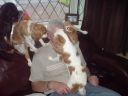 DSC00110.JPG