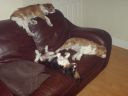 DSC00115.JPG