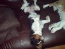 DSC00116.JPG