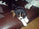 DSC00117.JPG