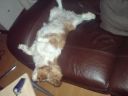 DSC00122.JPG