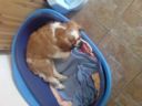 DSC00127.JPG