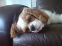 DSC00129.JPG