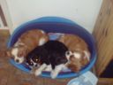 DSC00132.JPG
