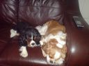 DSC00168.JPG