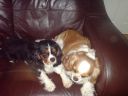 DSC00169.JPG