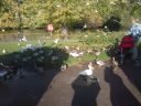 DSC00190.JPG