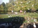 DSC00191.JPG