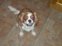 DSC00208.JPG