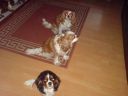 DSC00210.JPG