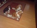 DSC00212.JPG
