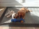 DSC00213.JPG