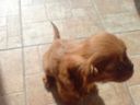 DSC00214.JPG