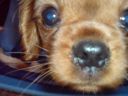 DSC00217.JPG