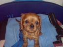 DSC00218.JPG