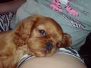 DSC00220.JPG
