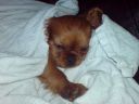 DSC00234.JPG