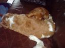 DSC00239.JPG