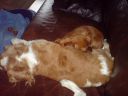DSC00240.JPG