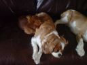 DSC00241.JPG