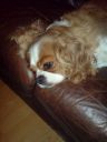 DSC00243.JPG
