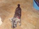DSC00281.JPG