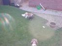 Filename=DSC00036.JPG
Filesize=567KiB
Dimensions=933x700
Date added=Jul 09, 2012 DSC00036.JPG