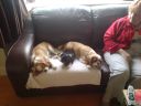 Filename=DSC00043.JPG
Filesize=500KiB
Dimensions=933x700
Date added=Jul 09, 2012 DSC00043.JPG