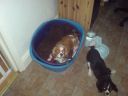 DSC00105.JPG
