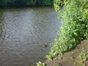 Filename=DSC00163.jpg
Filesize=777KiB
Dimensions=933x700
Date added=Jul 09, 2012 DSC00163.jpg