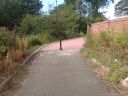 Filename=DSC00362.JPG
Filesize=730KiB
Dimensions=933x700
Date added=Jul 09, 2012 DSC00362.JPG